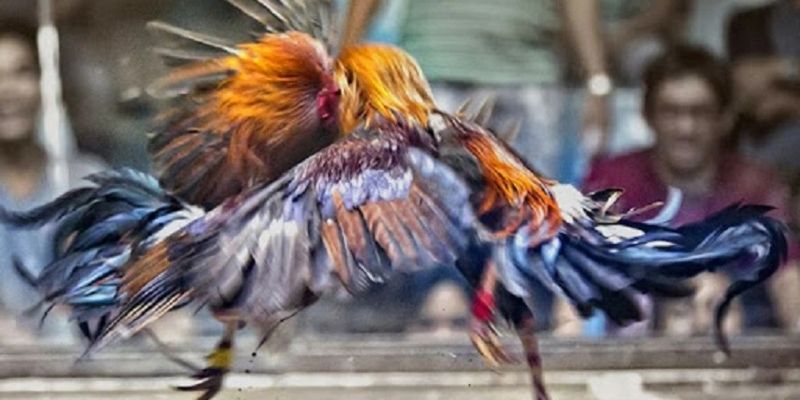 ควบคุมการเงินอย่างชาญฉลาดและมีประสิทธิภาพ